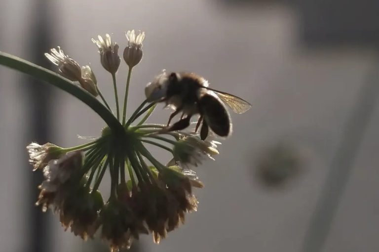 95fa1feb-1360-4fc1-a6f0-8e05c54ea763