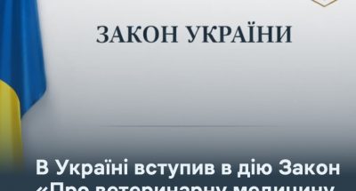 img_0466c843a757a3ac14b74248212375d9