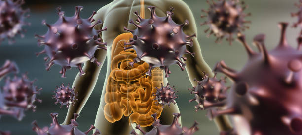 Virus and human digestive system. 3d illustration
