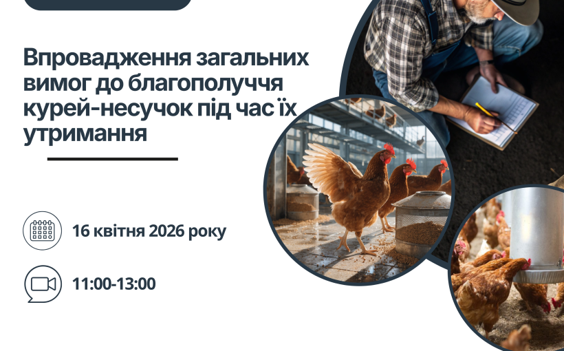 img_6d3715e8bbf49774f8ef19bb6eaebec4