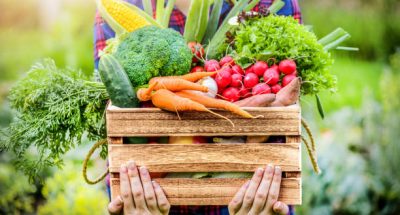 Farmer woman holding wooden box full of fresh raw vegetables. Basket with vegetable (cabbage, carrots, cucumbers, radish, corn, garlic and peppers) in the hands.