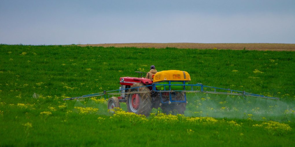 pexels-orhanveliakbaba-23247806