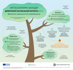 Без названия (2)